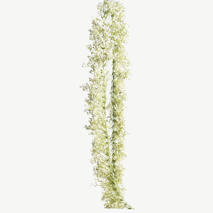 Supergreens Texniti Grlanta Gypsofulli 180cm 3210-7