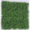 Supergreens Texniti Fullosia Fteri ''Cinnamon'' Prasini 50x50cm 3281-7