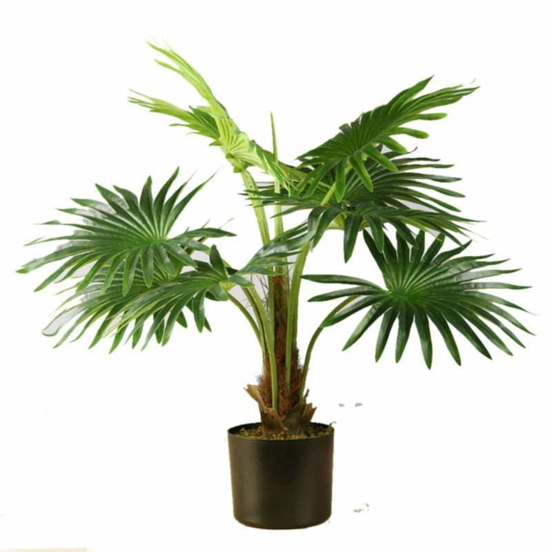 Γλάστρες - Ζαρντινιέρες agiovlasitishome - ΣΗΜΑΝΤΙΚΟ: Σε περίπτωση διαφοράς τιμής από το κατάστημα ισχύει παντα και μόνο η τιμή του καταστήματος Supergreens Τεχνητό Φυτό Πιτσάρδια 65cm 3350-6