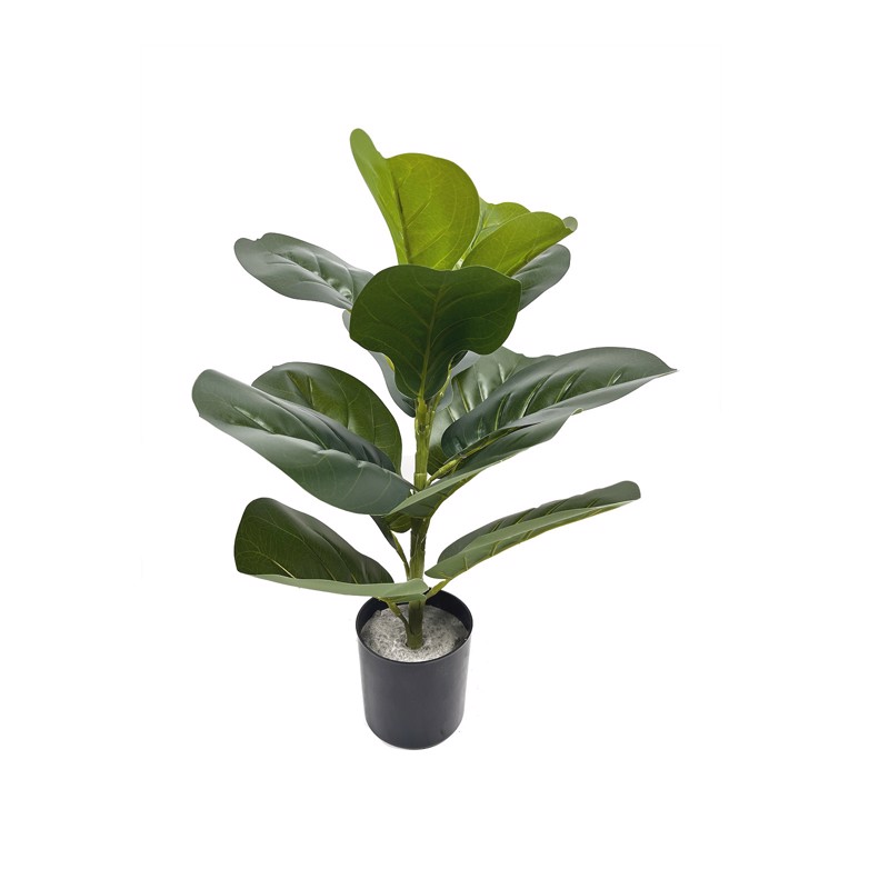 Supergreens Τεχνητό Φυτό Φίκος Λυράτα Πράσινο 50cm 3511