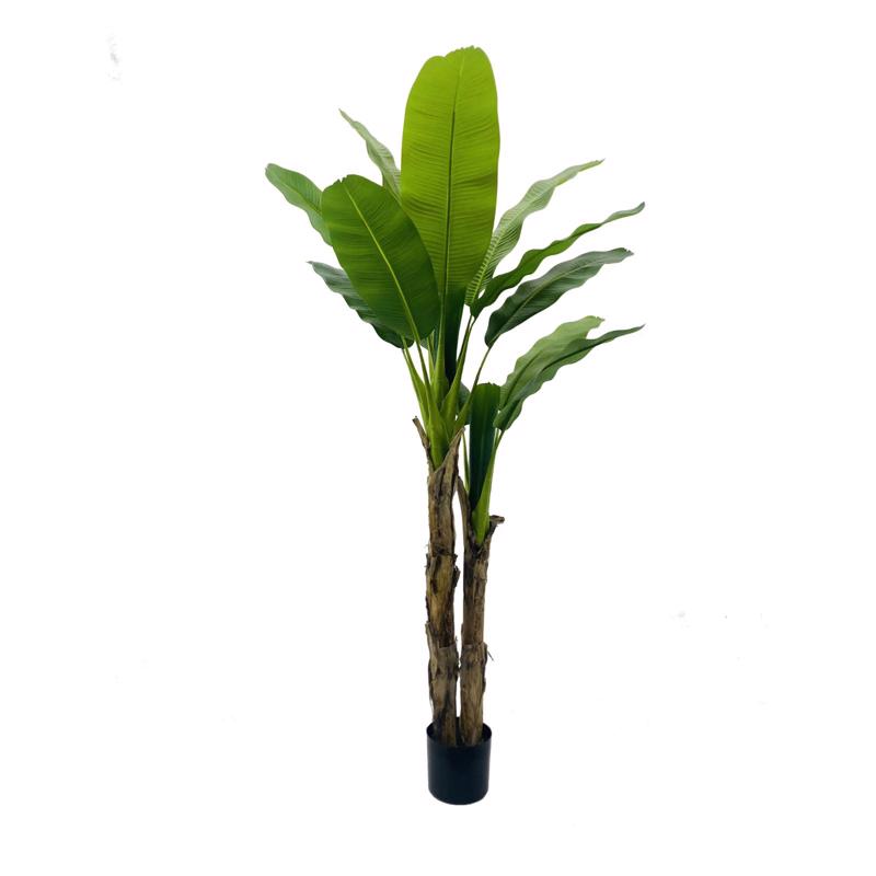 Γλάστρες - Ζαρντινιέρες agiovlasitishome - ΣΗΜΑΝΤΙΚΟ: Σε περίπτωση διαφοράς τιμής από το κατάστημα ισχύει παντα και μόνο η τιμή του καταστήματος Supergreens Τεχνητο Δέντρο Μπανάνα Πράσινο 320 εκ. 3690