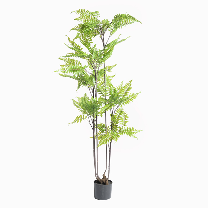 Supergreens Τεχνητό Δέντρο Φτέρη 160cm 3840-6 Supergreens Texnito Dentro Fteri 160cm 3840-6