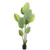 Supergreens Texnito Dentro Pouli tou Paradeisou ''Strelitzia Augusta'' Prasino 180 ek. 3901-6