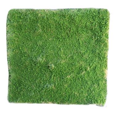 Supergreens Τεχνητή Φυλλωσιά Moss Πράσινη 100x100cm 3971-7