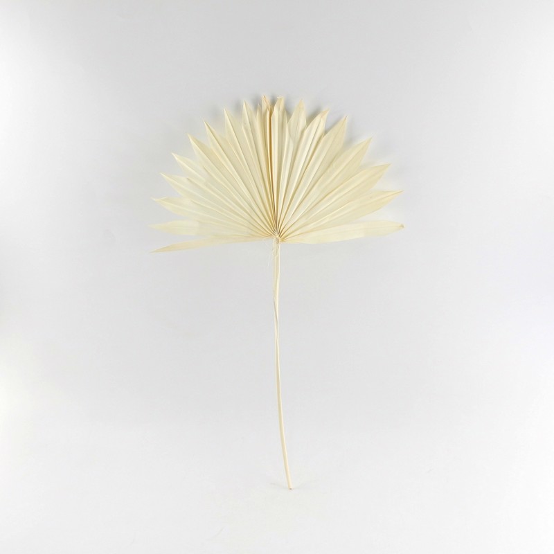 Γλάστρες - Ζαρντινιέρες agiovlasitishome - ΣΗΜΑΝΤΙΚΟ: Σε περίπτωση διαφοράς τιμής από το κατάστημα ισχύει παντα και μόνο η τιμή του καταστήματος Supergreens Τεχνητό Φύλλο Φοίνικας ''Serenoa'' Λευκό 30