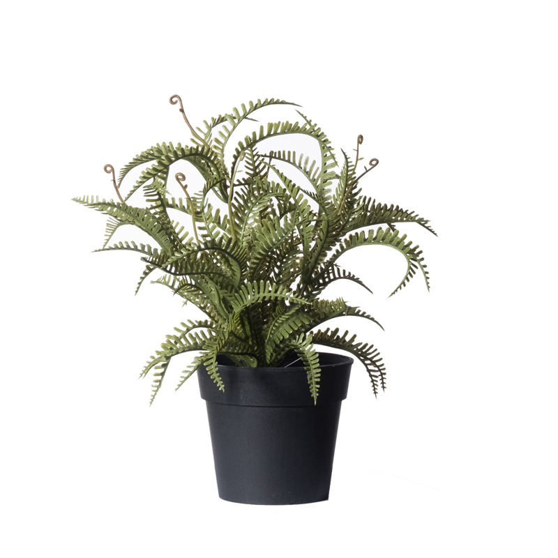 Γλάστρες - Ζαρντινιέρες agiovlasitishome - ΣΗΜΑΝΤΙΚΟ: Σε περίπτωση διαφοράς τιμής από το κατάστημα ισχύει παντα και μόνο η τιμή του καταστήματος Supergreens Τεχνητό Φυτό Φτέρη Boston Δίχρωμη 23cm 4160