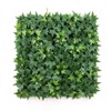 Supergreens Texniti Fullosia Kissos ''Hibernica'' Prasini 50x50 ek. 4191-7