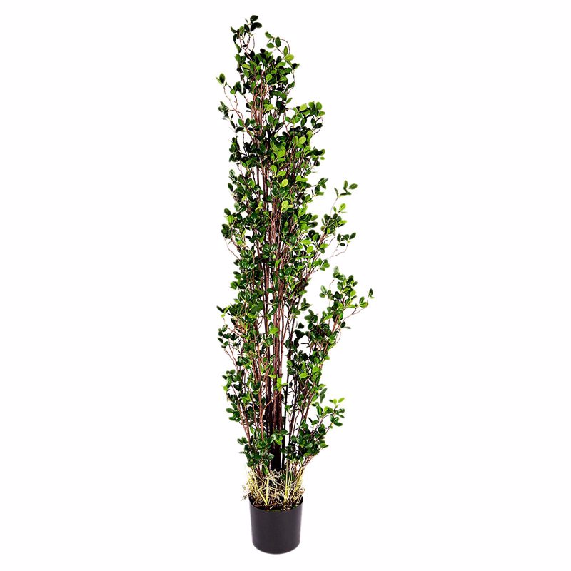 Supergreens Τεχνητό Δέντρο Καουτσούκ 183cm 4220-6