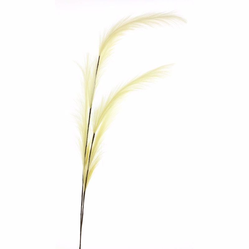 Supergreens Τεχνητό Κλαδί Φτερό Μπεζ 145cm 4241-7