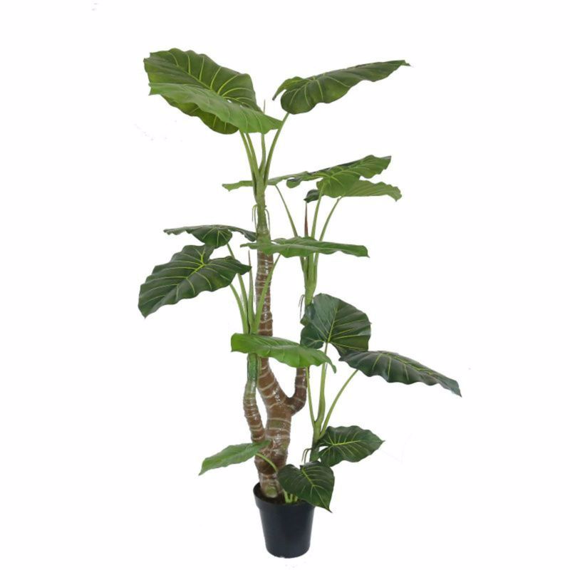 Γλάστρες - Ζαρντινιέρες agiovlasitishome - ΣΗΜΑΝΤΙΚΟ: Σε περίπτωση διαφοράς τιμής από το κατάστημα ισχύει παντα και μόνο η τιμή του καταστήματος Supergreens Τεχνητό Δέντρο Αλοκάσια Elephant Ears 180cm