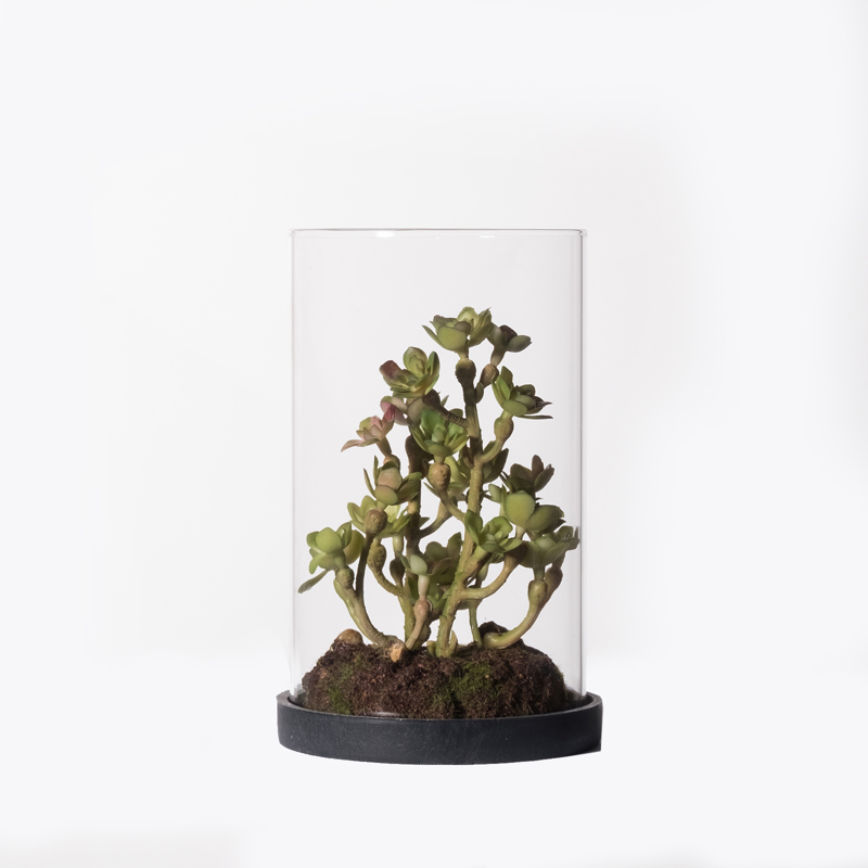 Supergreens Τεχνητό Φυτό Σέντουμ Cauticola 15cm 4260-6