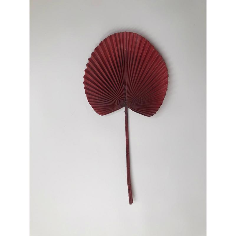 Γλάστρες - Ζαρντινιέρες agiovlasitishome - ΣΗΜΑΝΤΙΚΟ: Σε περίπτωση διαφοράς τιμής από το κατάστημα ισχύει παντα και μόνο η τιμή του καταστήματος Supergreens Τεχνητό Φύλλο Φοίνικα ''Licuala'' Μπορντώ 5