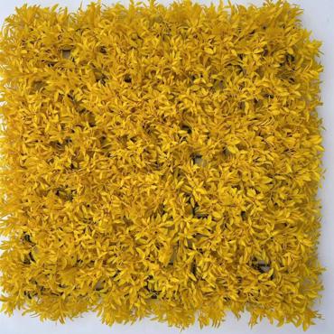 Supergreens Τεχνητή Φυλλωσιά Φτέρη ''Cinnamon'' Κίτρινη 50x50cm 4281-7