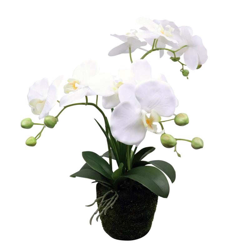 Supergreens Τεχνητό Φυτό Ορχιδέα Phalaenopsis Λευκό 42 