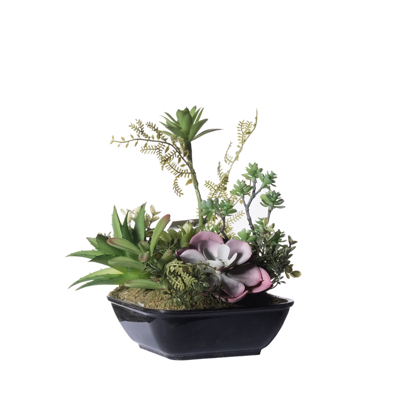 Supergreens Τεχνητό Φυτό Σύνθεση Παχύφυτων Δίχρωμη 19cm