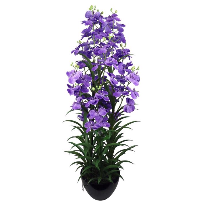 Supergreens Texnito Futo Orxidea ''Cymbidium Orchid'' Mob 120 ek. 4401-6