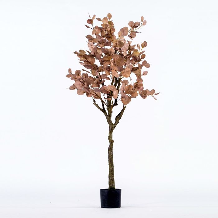 Supergreens Τεχνητό Δέντρο Παχίρα Πορτοκαλί 157cm 4440-6 Supergreens Texnito Dentro Paxira Portokali 157cm 4440-6