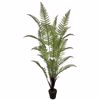 Supergreens Texnito Dentro Fteri 180cm 4450-6