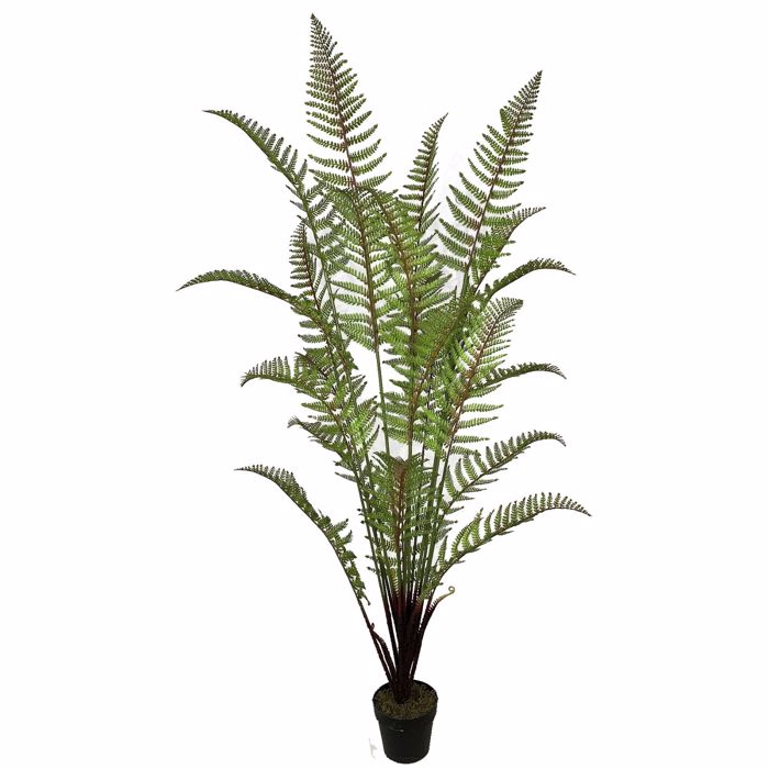 Supergreens Τεχνητό Δέντρο Φτέρη 180cm 4450-6 Supergreens Texnito Dentro Fteri 180cm 4450-6