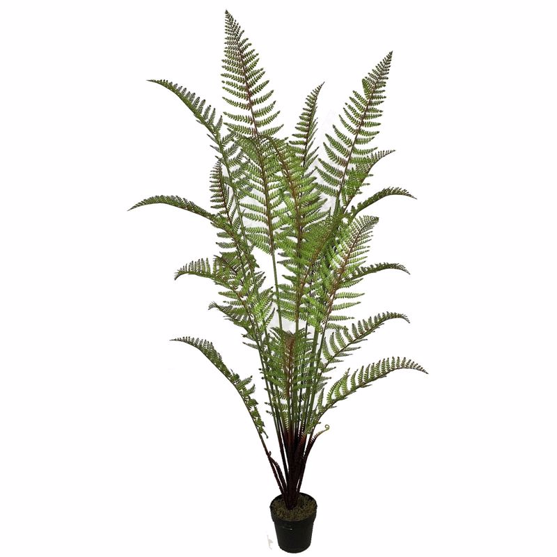 Supergreens Τεχνητό Δέντρο Φτέρη 180cm 4450-6