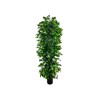 Supergreens Texnito Dentro Sukia ''Anus'' Prasino 180cm 4511-6