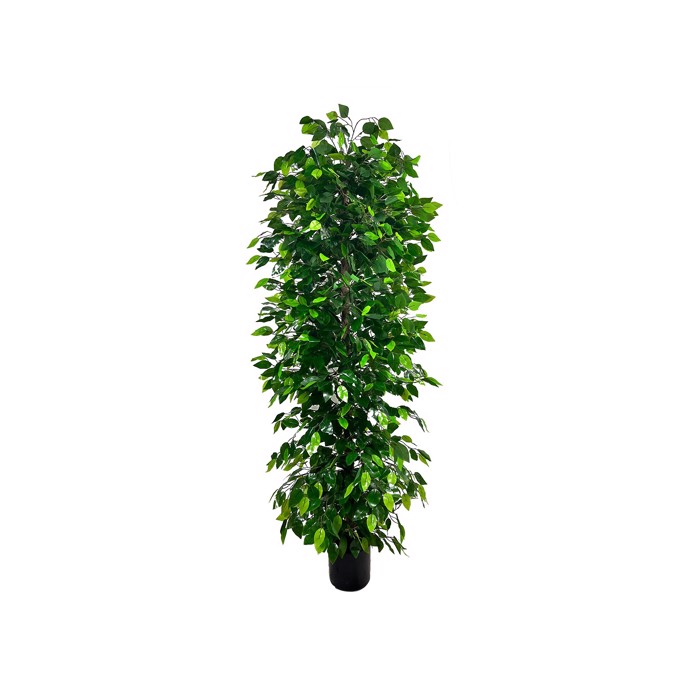 Supergreens Texnito Dentro Sukia ''Anus'' Prasino 180cm 4511-6