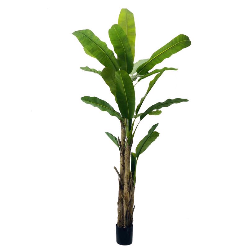 Γλάστρες - Ζαρντινιέρες agiovlasitishome - ΣΗΜΑΝΤΙΚΟ: Σε περίπτωση διαφοράς τιμής από το κατάστημα ισχύει παντα και μόνο η τιμή του καταστήματος Supergreens Τεχνητο Δέντρο Μπανάνα Πράσινο 280 εκ. 4690