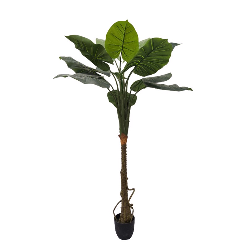 Γλάστρες - Ζαρντινιέρες agiovlasitishome - ΣΗΜΑΝΤΙΚΟ: Σε περίπτωση διαφοράς τιμής από το κατάστημα ισχύει παντα και μόνο η τιμή του καταστήματος Supergreens Τεχνητό Δέντρο Αλοκάσια 150cm 4760-6