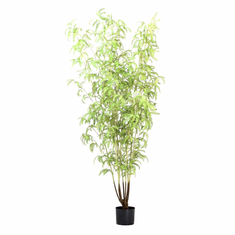 Γλάστρες - Ζαρντινιέρες agiovlasitishome - ΣΗΜΑΝΤΙΚΟ: Σε περίπτωση διαφοράς τιμής από το κατάστημα ισχύει παντα και μόνο η τιμή του καταστήματος Supergreens Τεχνητό Δέντρο Φτέρη Boston Πράσινο 250cm 4