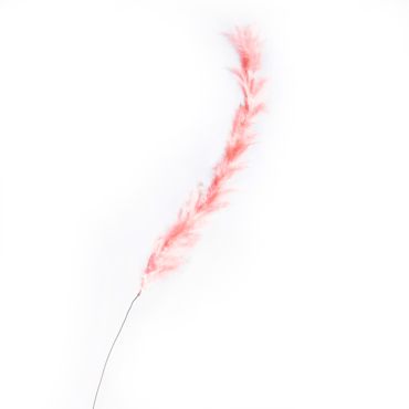 Supergreens Τεχνητό Κλαδί Φτερό Ροζ 120cm 4780-7