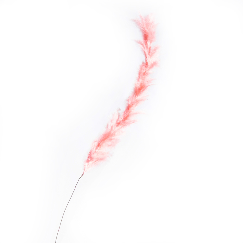 Supergreens Τεχνητό Κλαδί Φτερό Ροζ 120cm 4780-7