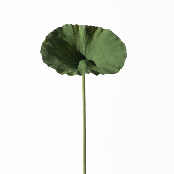 Supergreens Texnito Klonari Farfoukio 70cm 4851-7