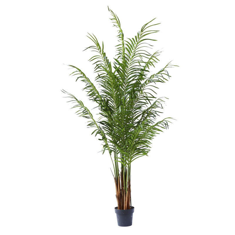 Supergreens Τεχνητό Δέντρο Αρέκα 210cm 4860-6