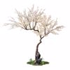 Supergreens Texnito Dentro Amugalia 290cm 4900-6