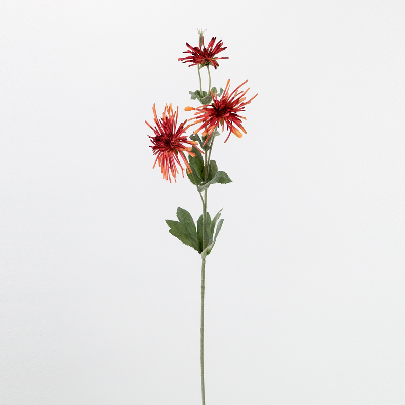 Supergreens Τεχνητό Κλωνάρι Αμαμελίδα Κόκκινο 82cm 4901