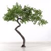 Supergreens Texnito Dentro Sfendamos 340cm 4910-6