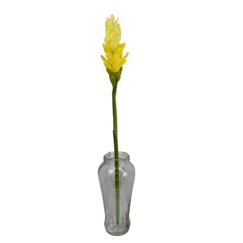 Γλάστρες - Ζαρντινιέρες agiovlasitishome - ΣΗΜΑΝΤΙΚΟ: Σε περίπτωση διαφοράς τιμής από το κατάστημα ισχύει παντα και μόνο η τιμή του καταστήματος Supergreens Τεχνητό Κλωνάρι Τζίντζερ Κίτρινο 86cm 4961-