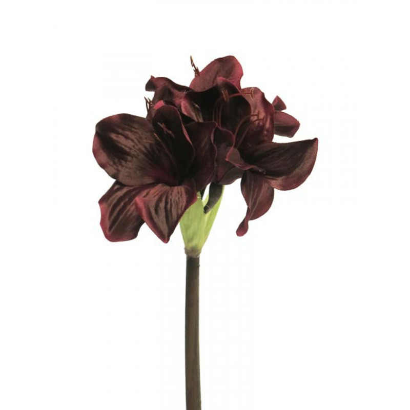 Supergreens Τεχνητό Κλωνάρι Αμαρυλλίς Μπορντώ 45cm 5001