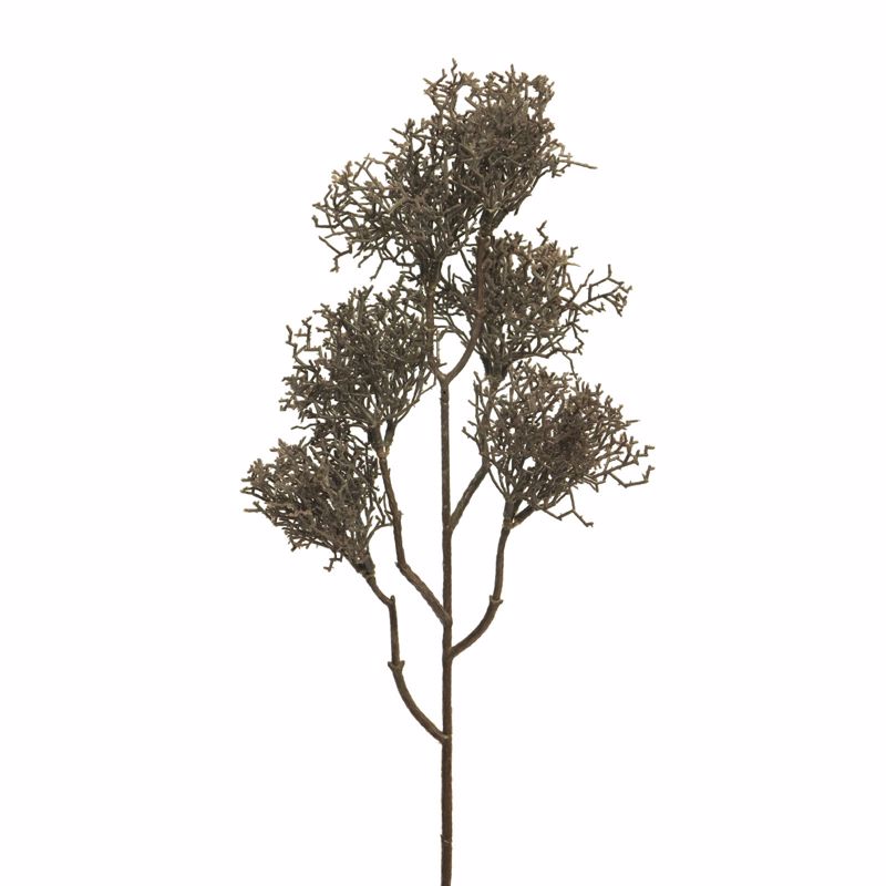 Supergreens Τεχνητό Κλαδί Κοράλι Καφέ 55cm 5041-7