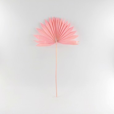 Supergreens Τεχνητό Φύλλο Φοίνικας ''Serenoa'' Ροζ 30x30x50 εκ. 5081-7