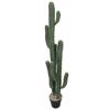 Supergreens Texnito Futo Eformpia 143 ek. 5101-6