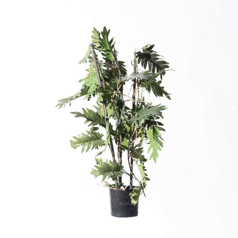 Supergreens Τεχνητό Φυτό Φιλόδεντρο Xanadu σε Γλάστρα 3