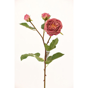 Supergreens Τεχνητό Κλωνάρι Τριαντάφυλλο Ροζ 61cm 5180-7