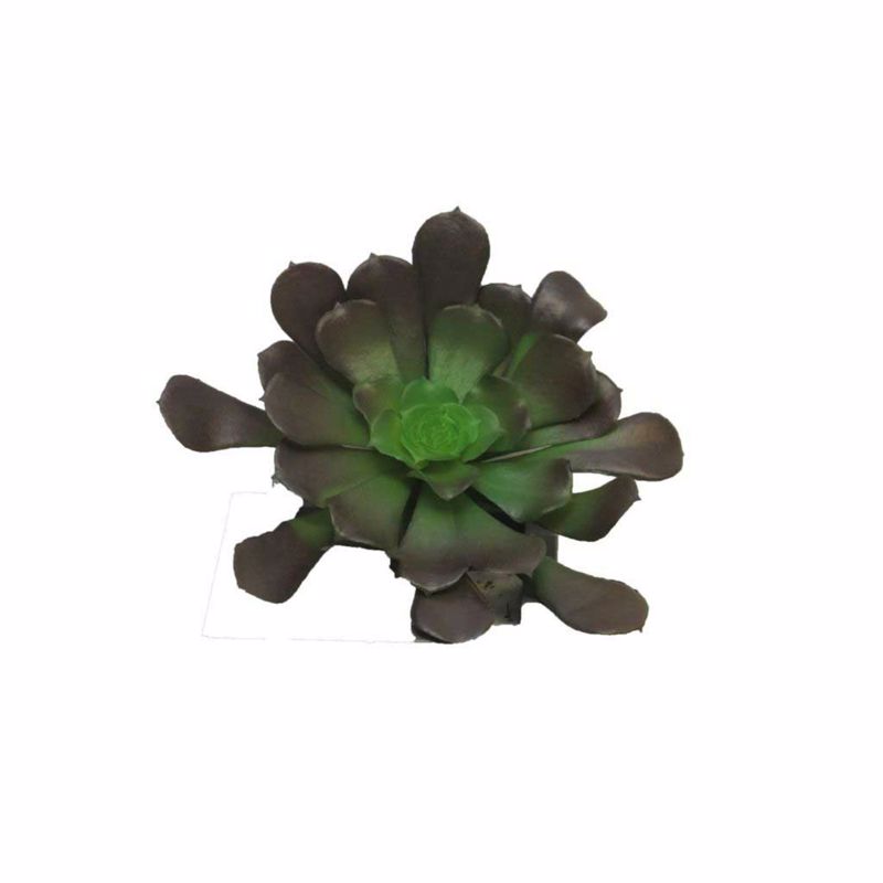 Supergreens Τεχνητό Χωνευτό Παχύφυτο Καφέ 10cm 5201-7