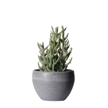 Supergreens Τεχνητό Φυτό Σενέκιο Vitalis 18cm 5260-6