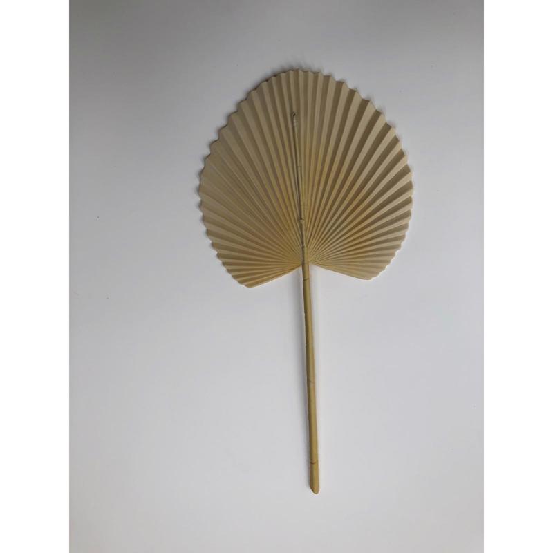 Γλάστρες - Ζαρντινιέρες agiovlasitishome - ΣΗΜΑΝΤΙΚΟ: Σε περίπτωση διαφοράς τιμής από το κατάστημα ισχύει παντα και μόνο η τιμή του καταστήματος Supergreens Τεχνητό Φύλλο Φοίνικα ''Licuala'' Μπεζ 52 ε