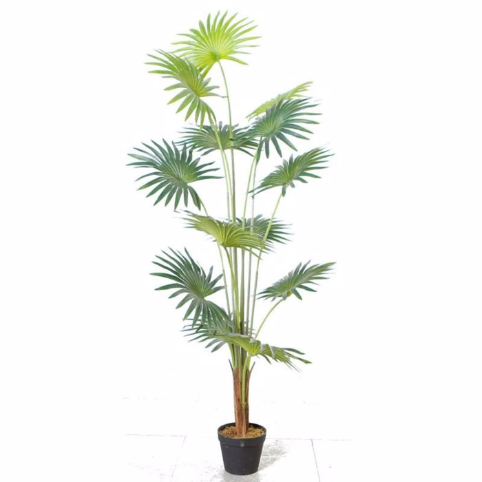 Supergreens Τεχνητό Δέντρο Πιτσάρδια 150cm 5350-6 Supergreens Texnito Dentro Pitsardia 150cm 5350-6