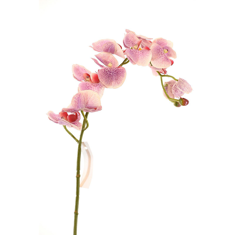 Supergreens Τεχνητό Κλωνάρι Ορχιδέα Άσπρο/Μωβ 75cm 5380-7