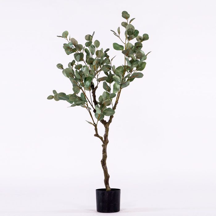 Supergreens Τεχνητό Δέντρο Παχίρα Πράσινη 123cm 5440-6 Supergreens Texnito Dentro Paxira Prasini 123cm 5440-6