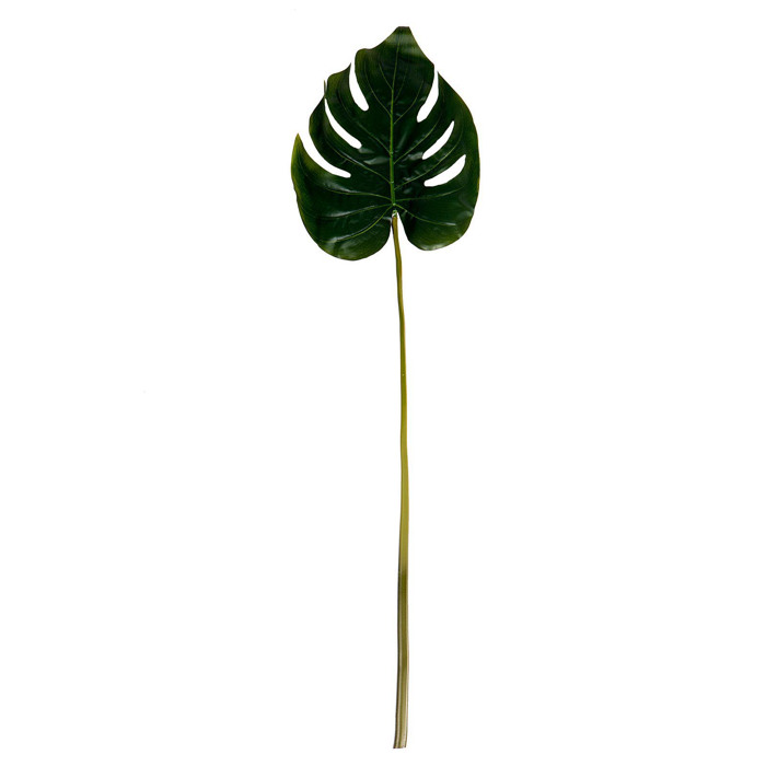 Supergreens Texnito Fullo Filodentro 81cm 5450-7